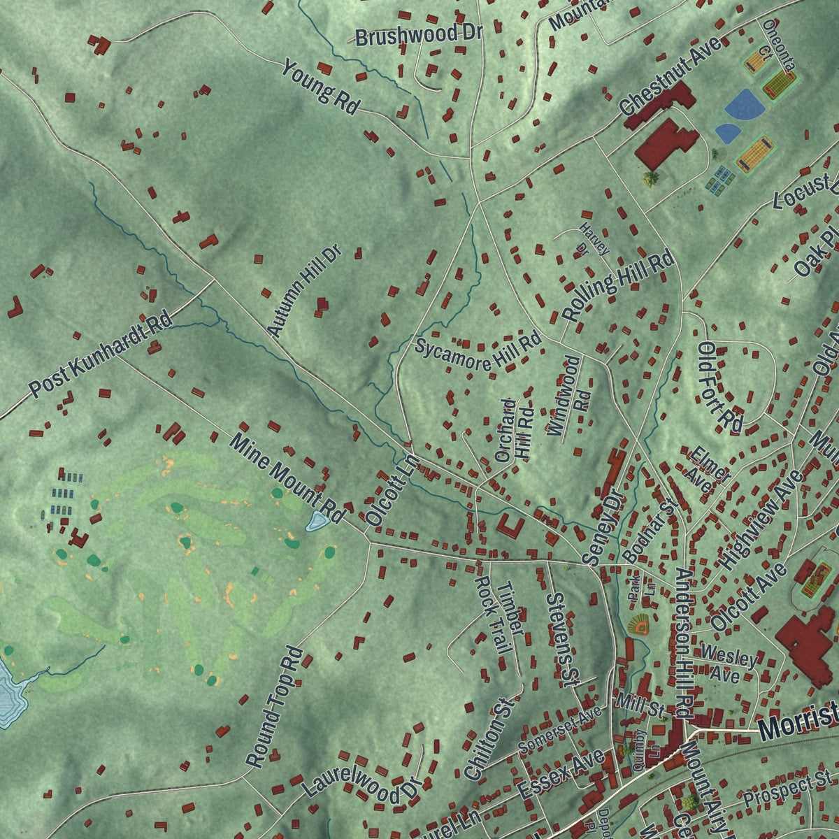 Close-up 1 of the Bernardsville, New Jersey map artwork