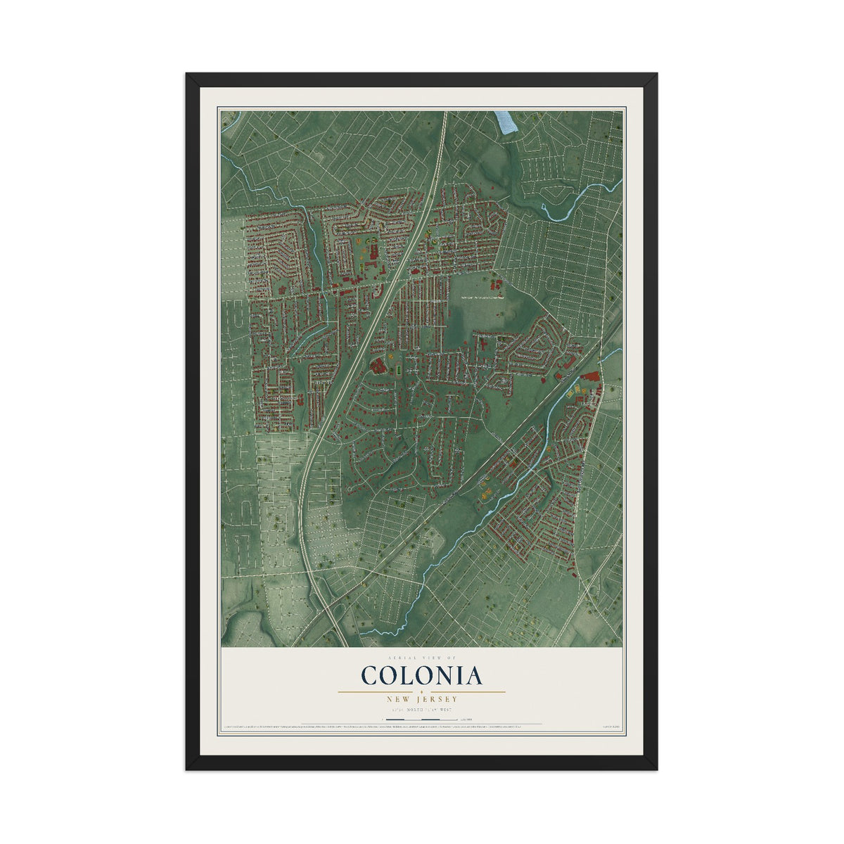 Colonia, New Jersey map print, 12" x 18" W/ Black Ayous Wood Frame mockup