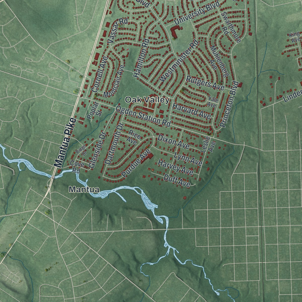 Close-up 2 of the Deptford, New Jersey map artwork
