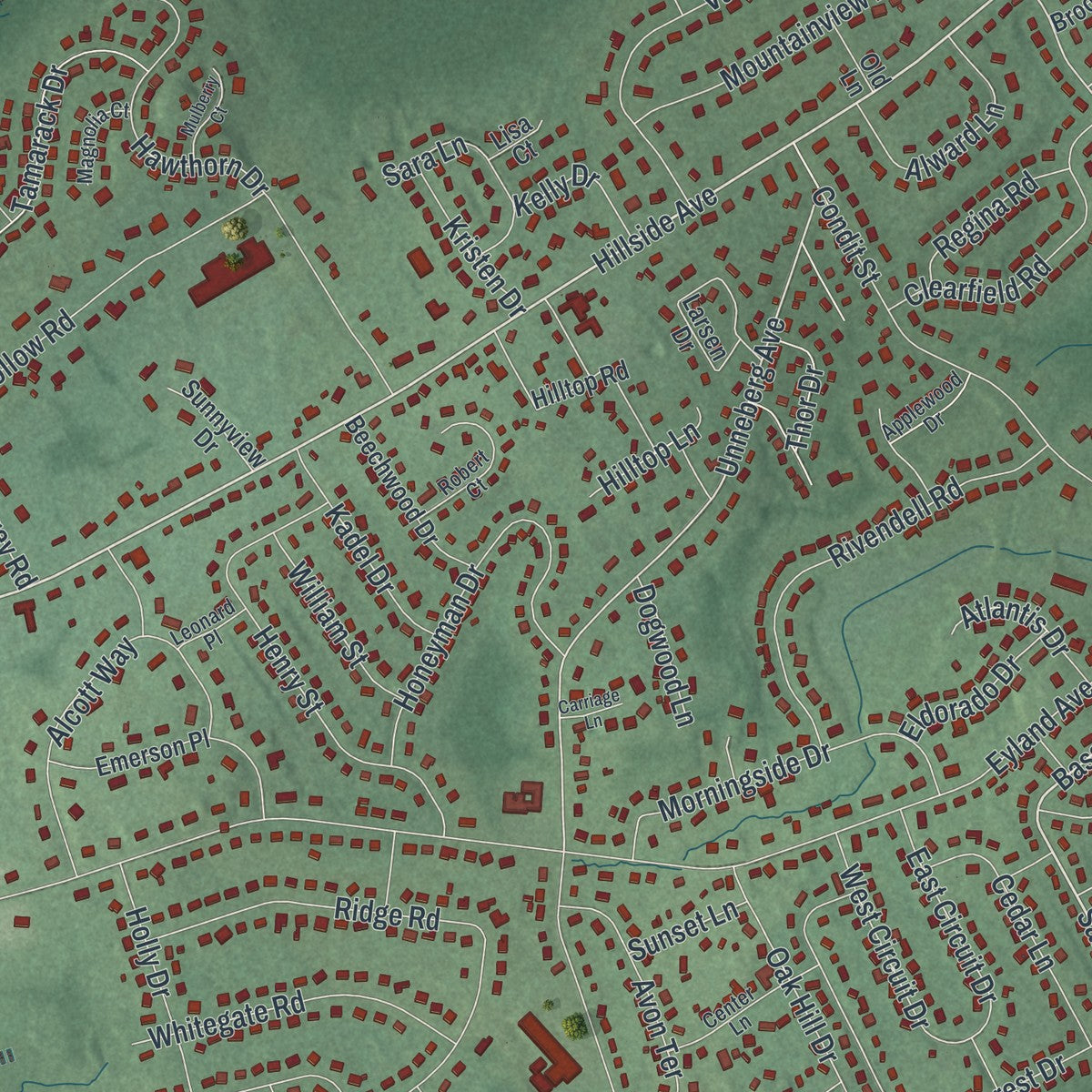 Close-up 1 of the Succasunna, New Jersey map artwork