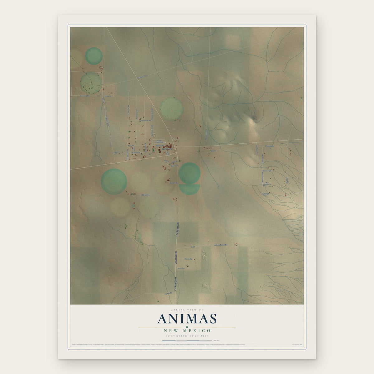 Animas, New Mexico map print, the full design