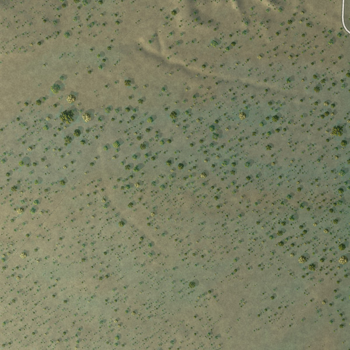Close-up of the map of Anzac Village, New Mexico print showing street and building detail
