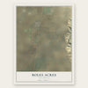 Boles Acres, New Mexico map print, the full design