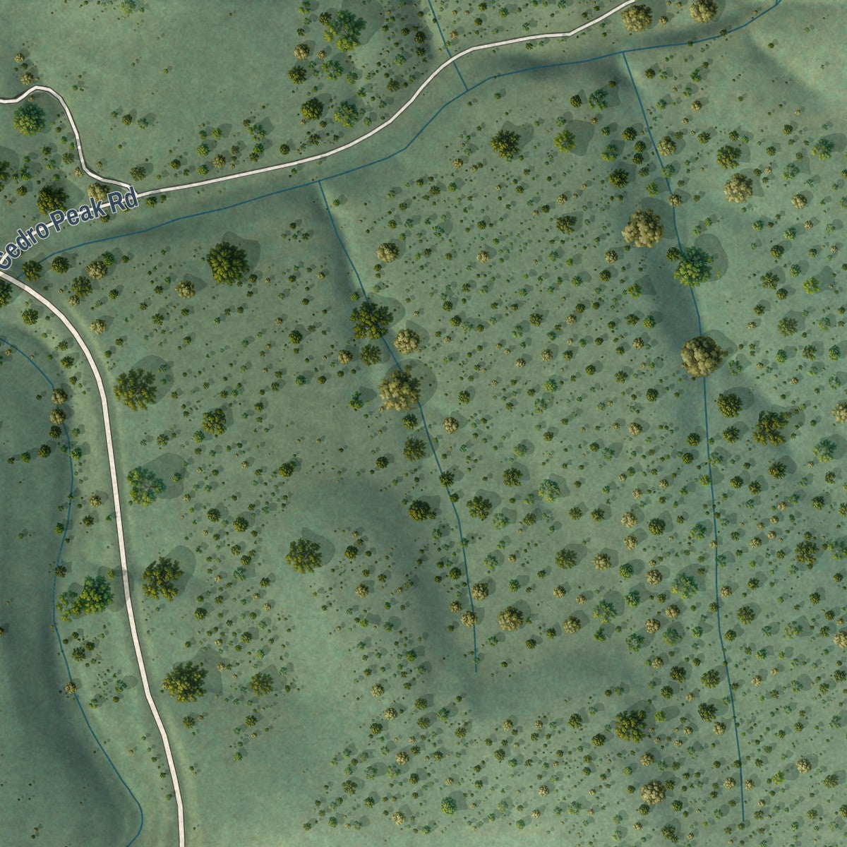 Close-up of the map of Cedro, New Mexico print showing street and building detail