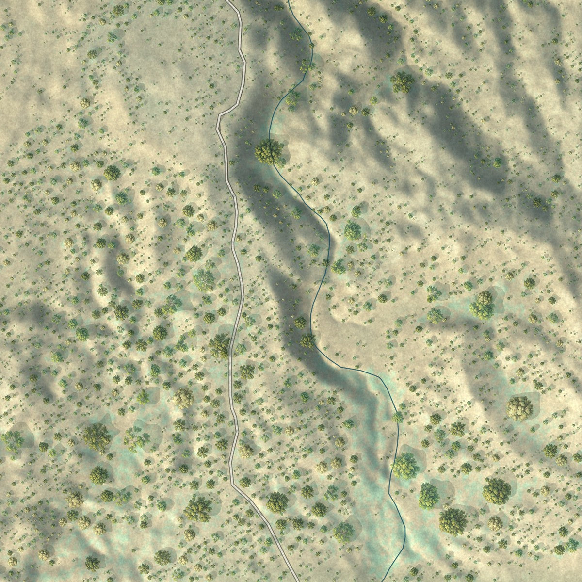 Close-up of the map of Coyote, New Mexico print showing street and building detail