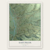 East Pecos, New Mexico map print, the full design