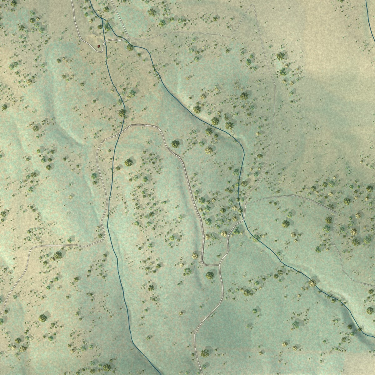 Close-up of the map of Escudilla Bonita, New Mexico print showing street and building detail
