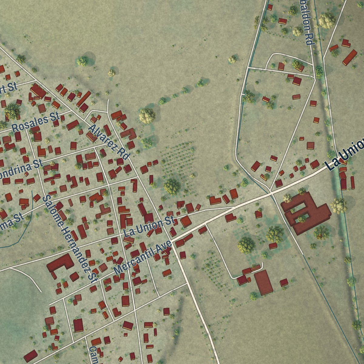 Close-up of the map of La Union, New Mexico print showing street and building detail