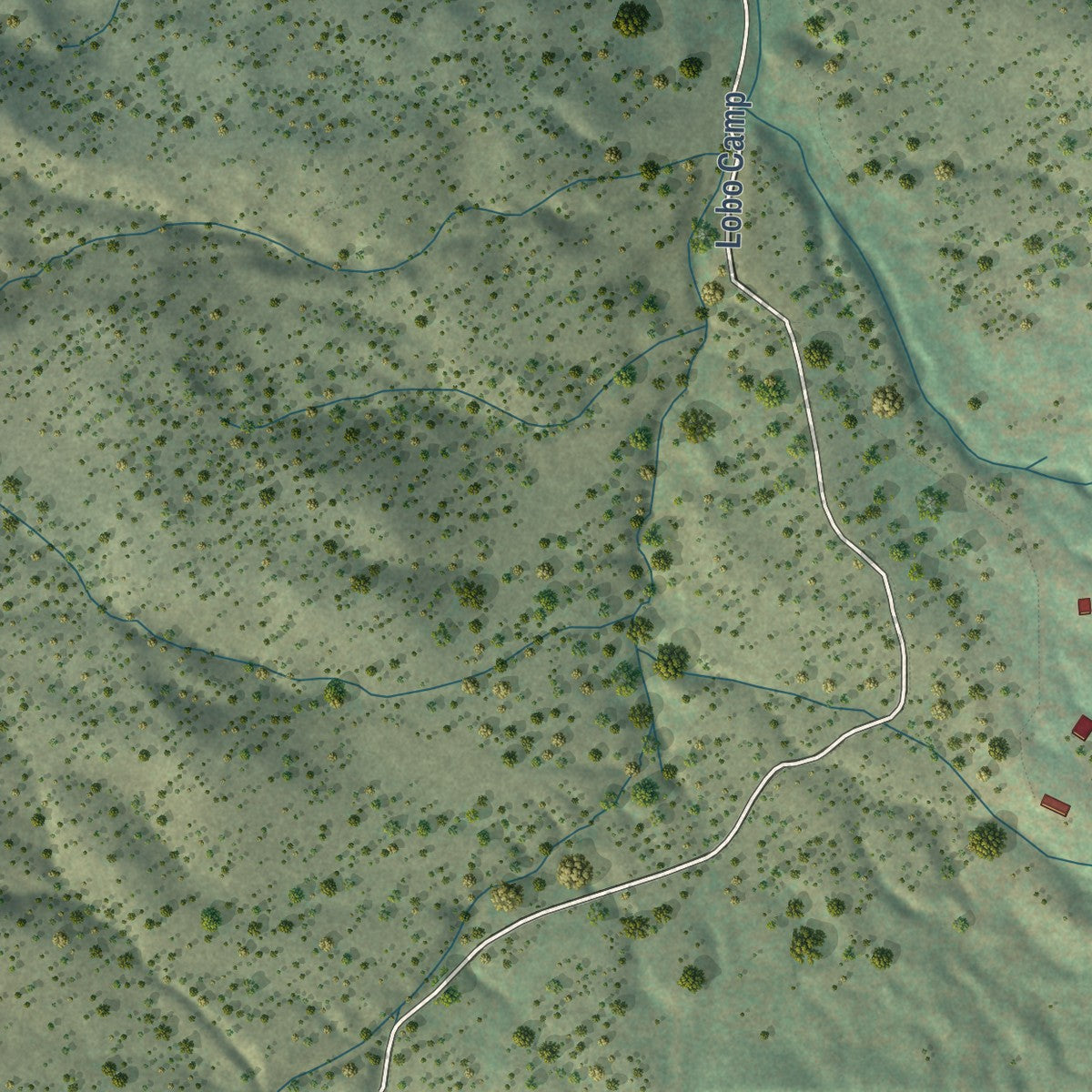 Close-up of the map of Lobo Canyon, New Mexico print showing street and building detail