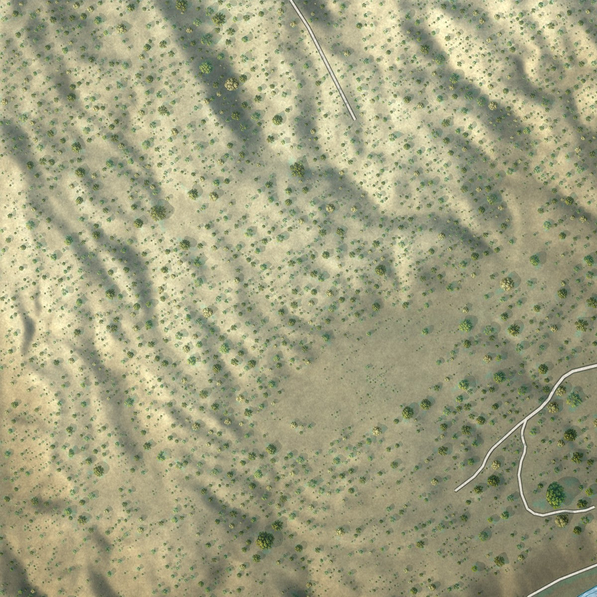 Close-up of the map of Los Luceros, New Mexico print showing street and building detail