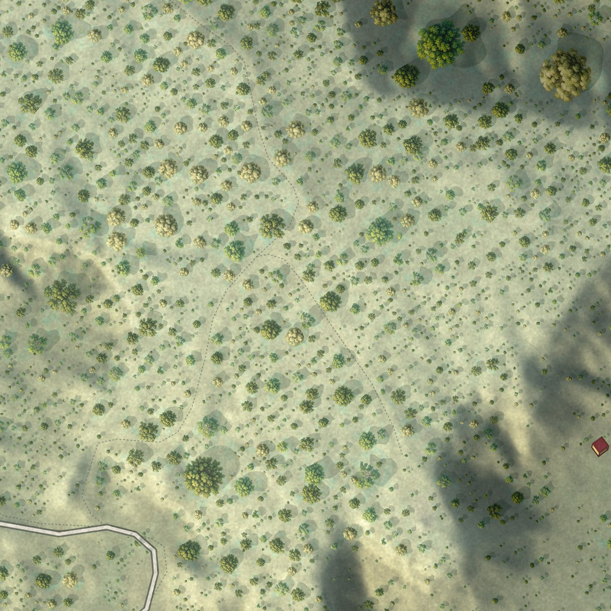 Close-up of the map of Lybrook, New Mexico print showing street and building detail