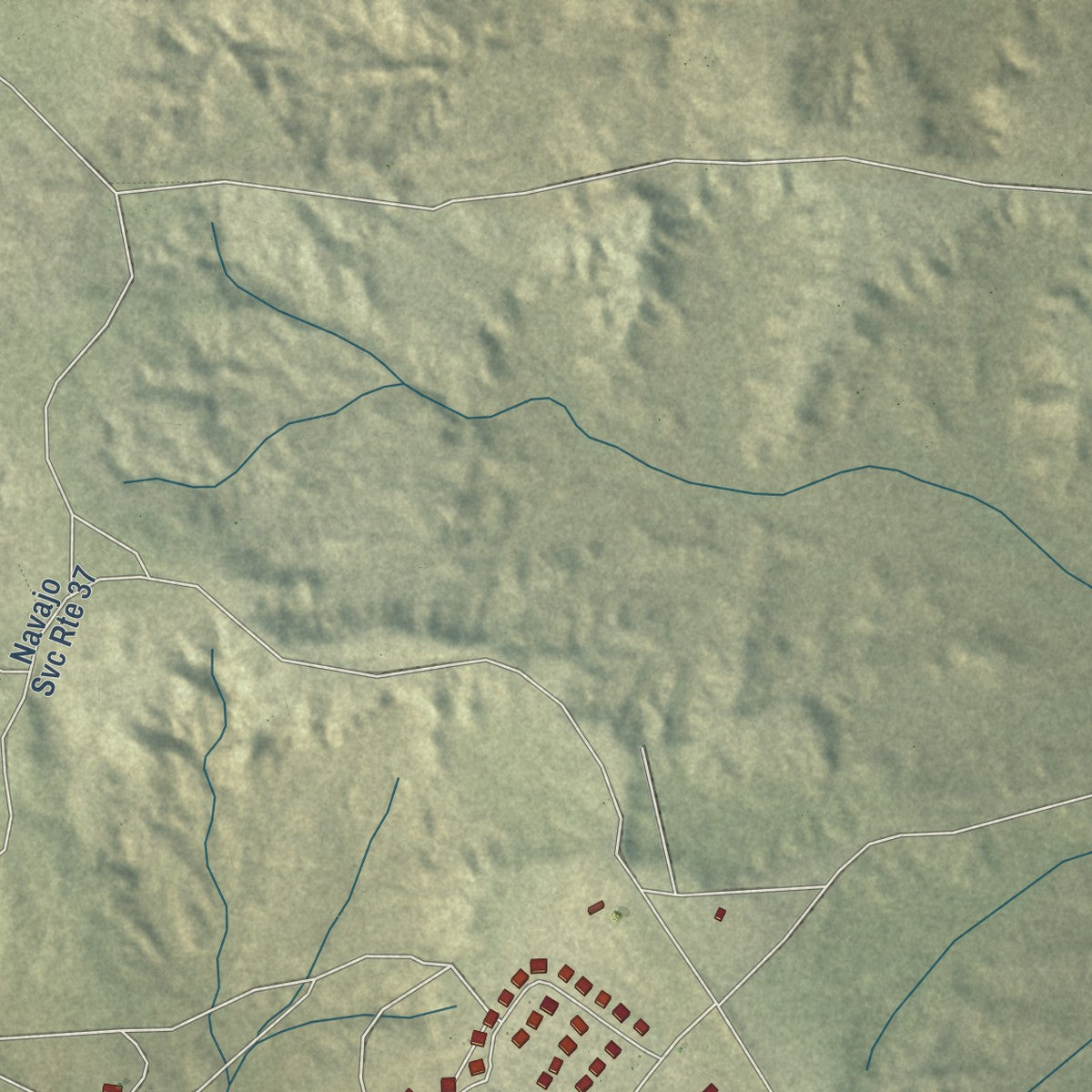Close-up of the map of Nakaibito, New Mexico print showing street and building detail