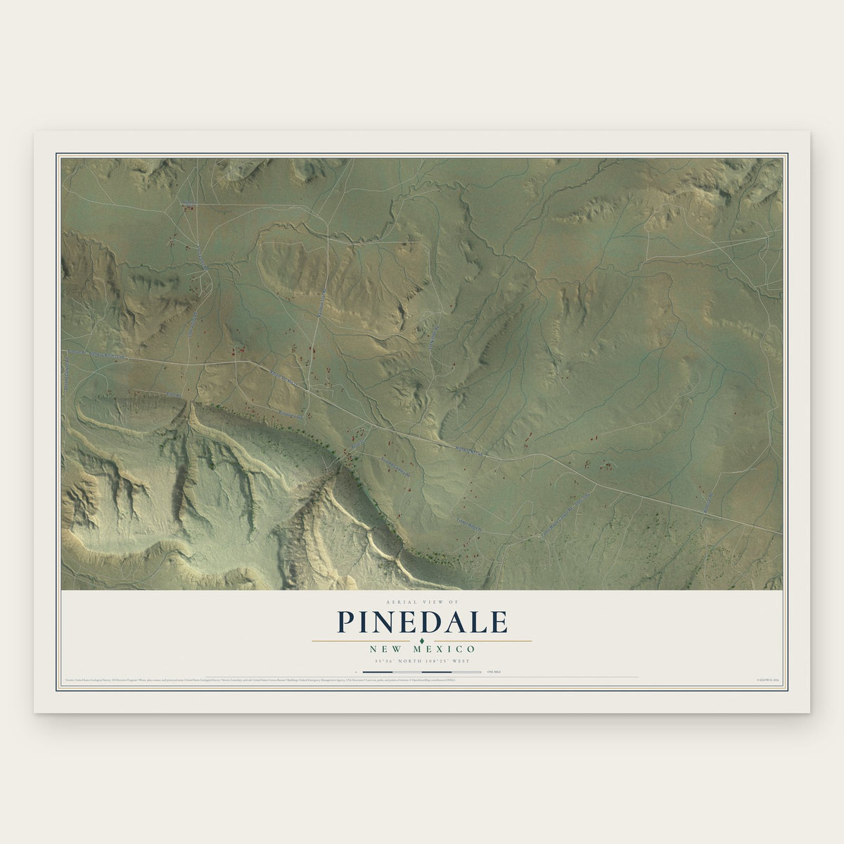 Pinedale, New Mexico map print, the full design