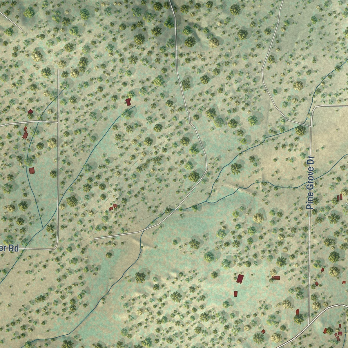 Close-up of the map of Pinehaven, New Mexico print showing street and building detail