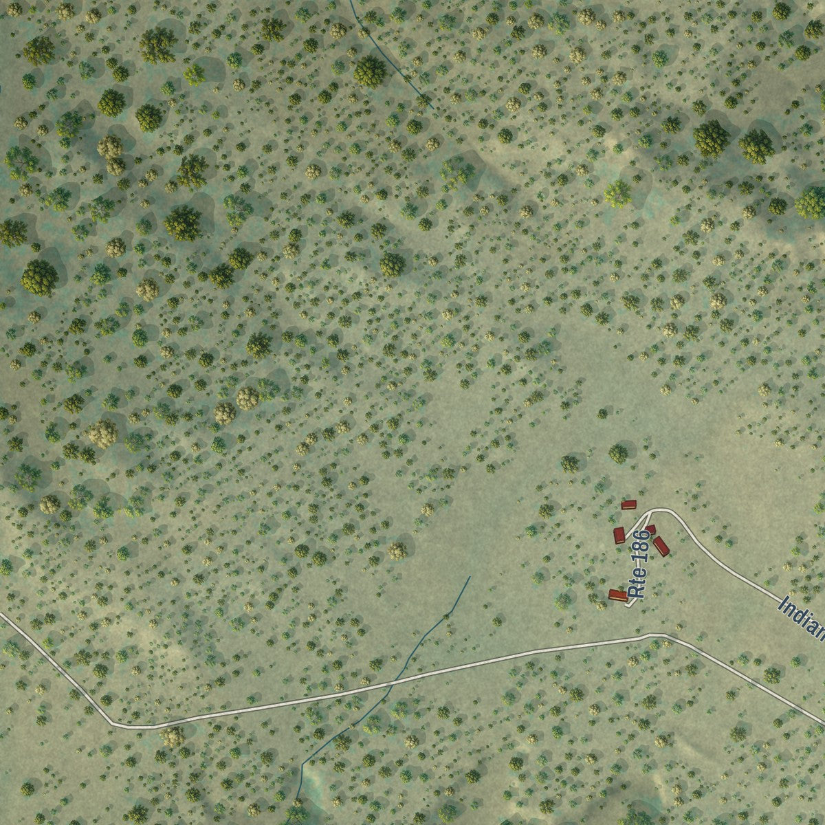 Close-up of the map of Pinehill, New Mexico print showing street and building detail