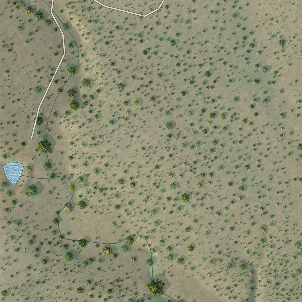 Close-up of the map of Pinon, New Mexico print showing street and building detail