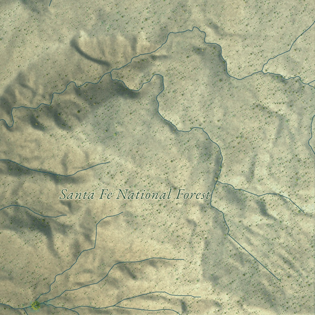 Close-up of the map of Ponderosa, New Mexico print showing street and building detail
