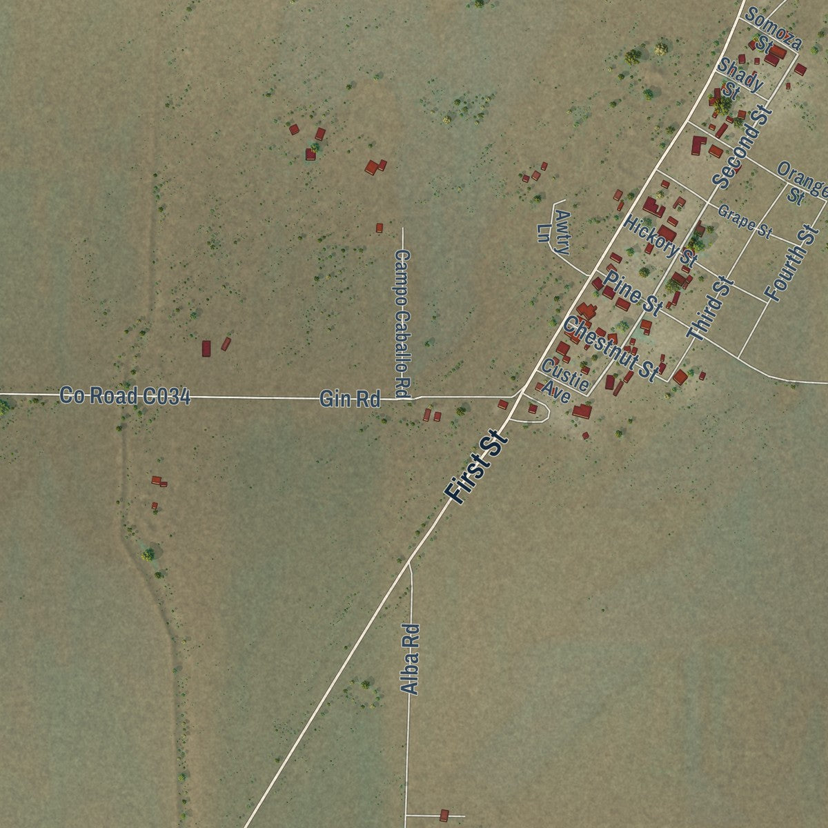 Close-up of the map of Rodeo, New Mexico print showing street and building detail