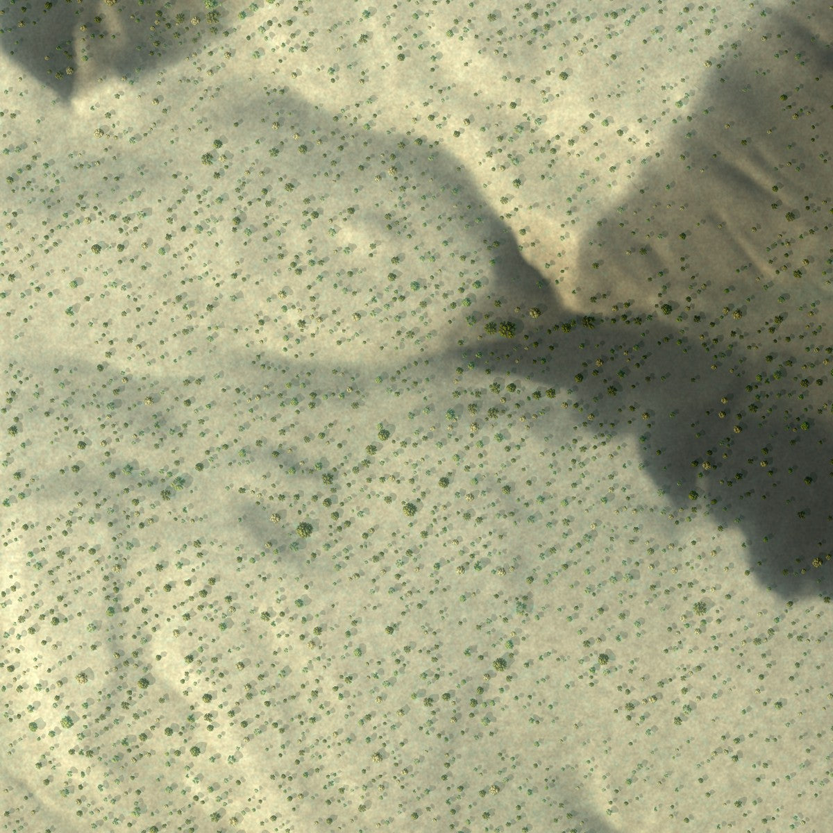 Close-up of the map of Sena, New Mexico print showing street and building detail