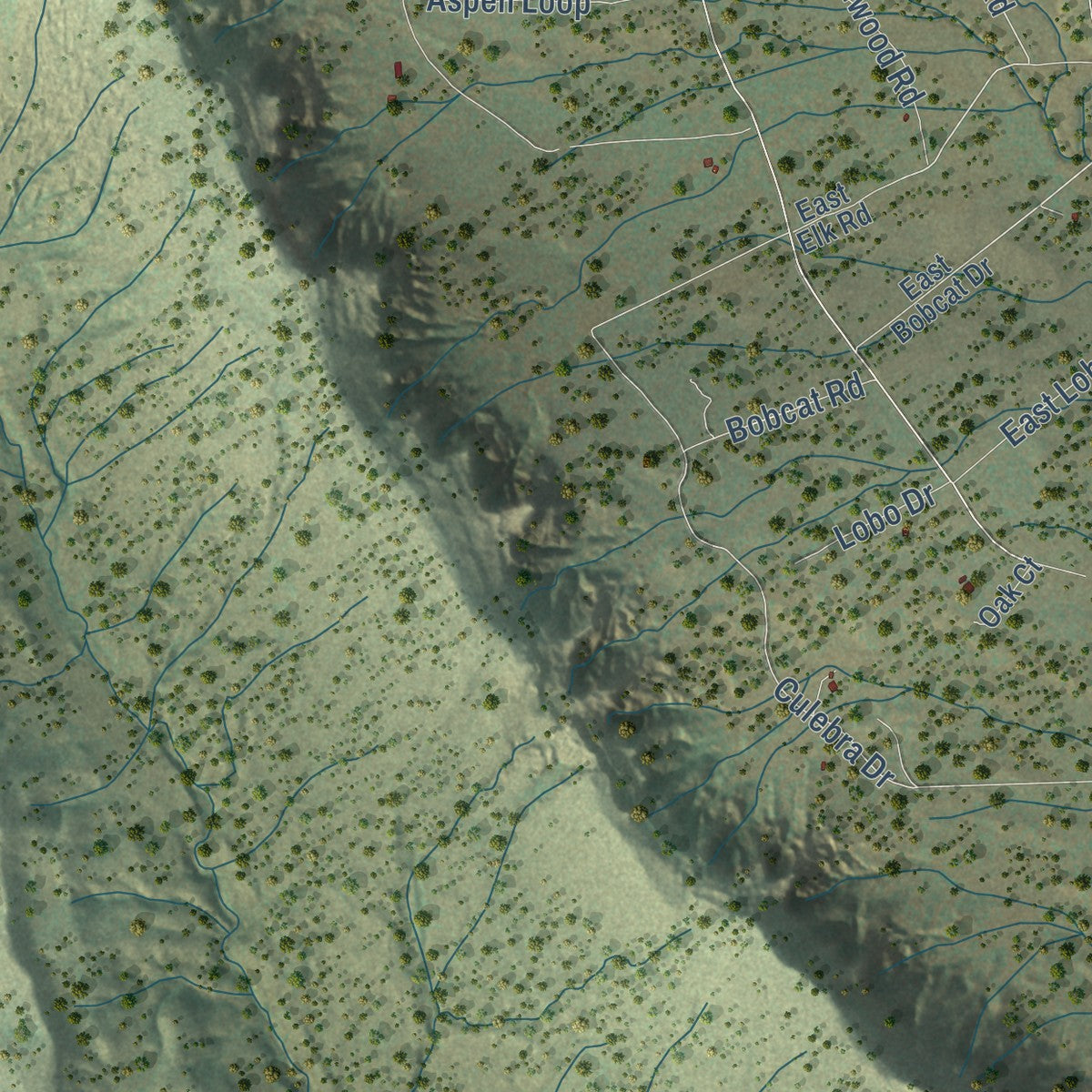 Close-up of the map of Timberlake, New Mexico print showing street and building detail