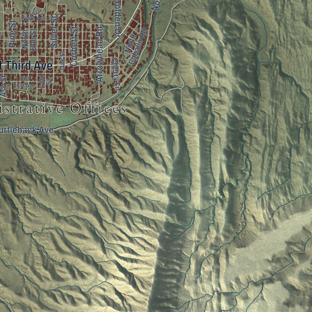 Close-up of the map of Truth or Consequences, New Mexico print showing street and building detail