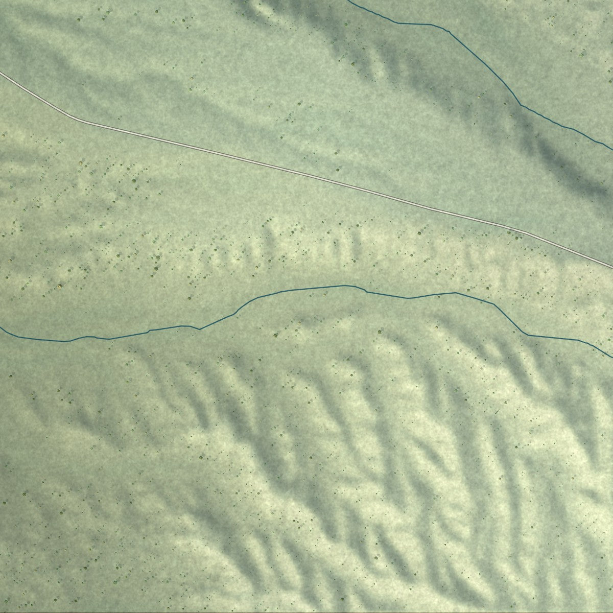 Close-up of the map of Dry Valley, Nevada print showing street and building detail