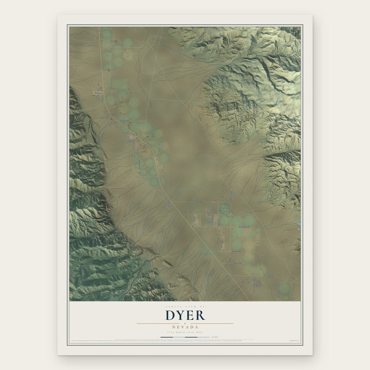 Dyer, Nevada map print, the full design
