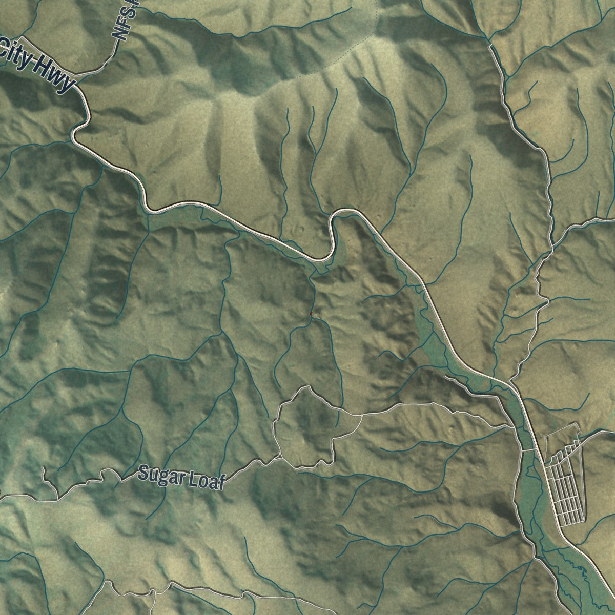 Close-up of the map of Owyhee, Nevada print showing street and building detail