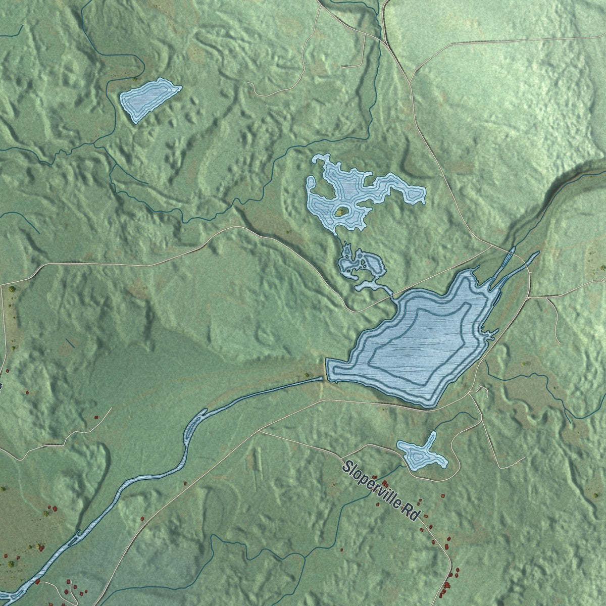 Close-up of the map of Albion, Oswego County, New York print showing street and building detail