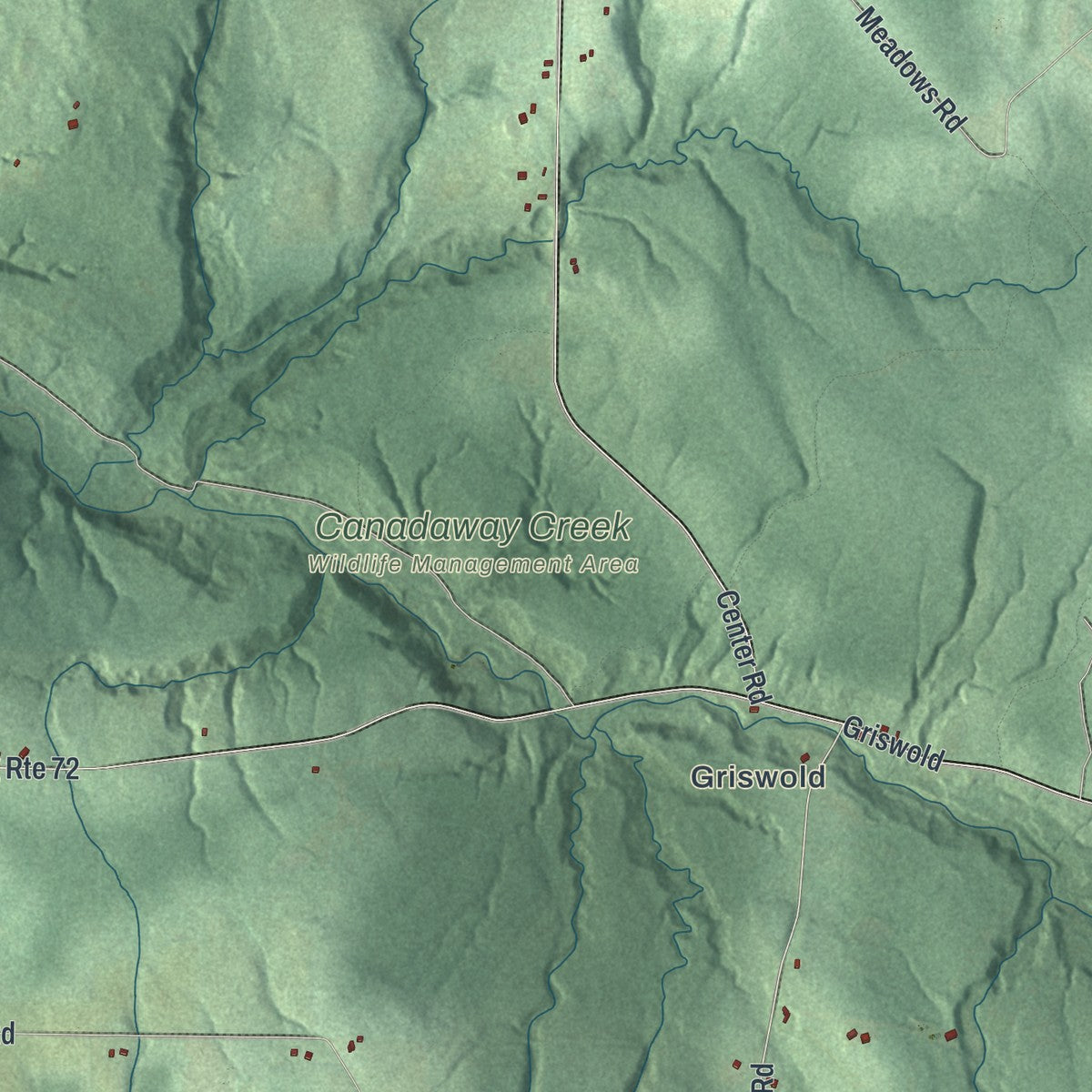Close-up 1 of the Arkwright, New York map artwork