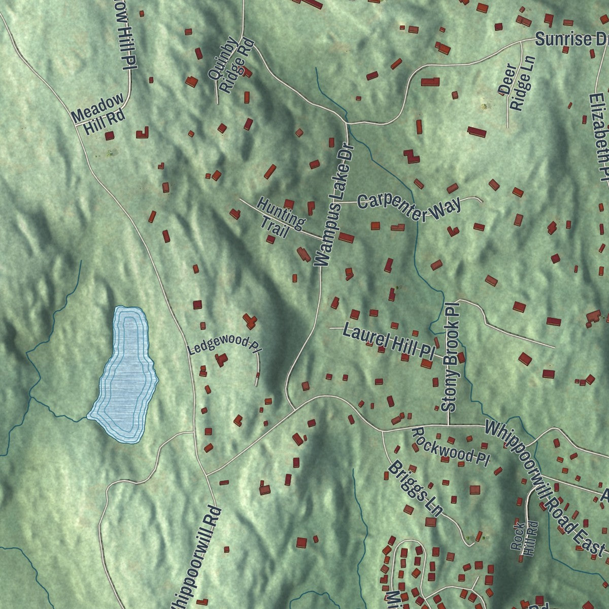 Close-up 1 of the Armonk, New York map artwork
