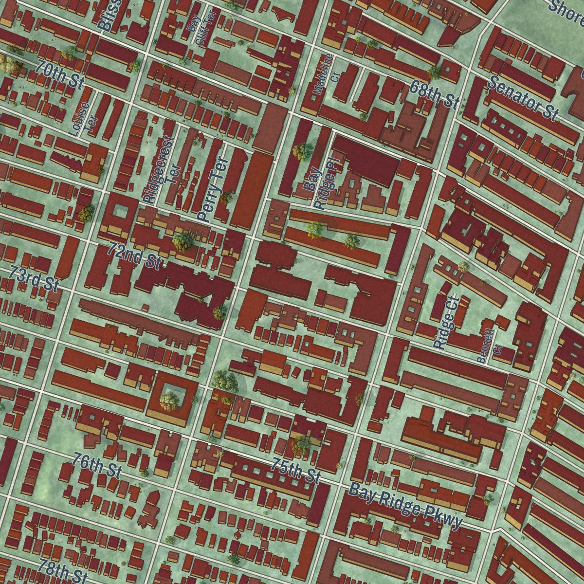 Close-up of the map of Bay Ridge, New York print showing street and building detail