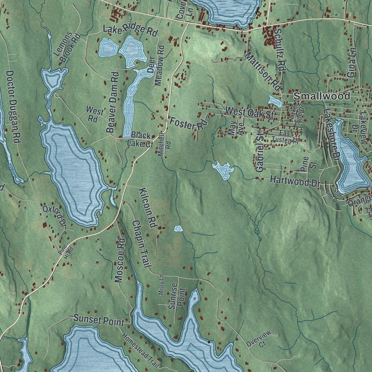 Close-up 1 of the Bethel, New York map artwork