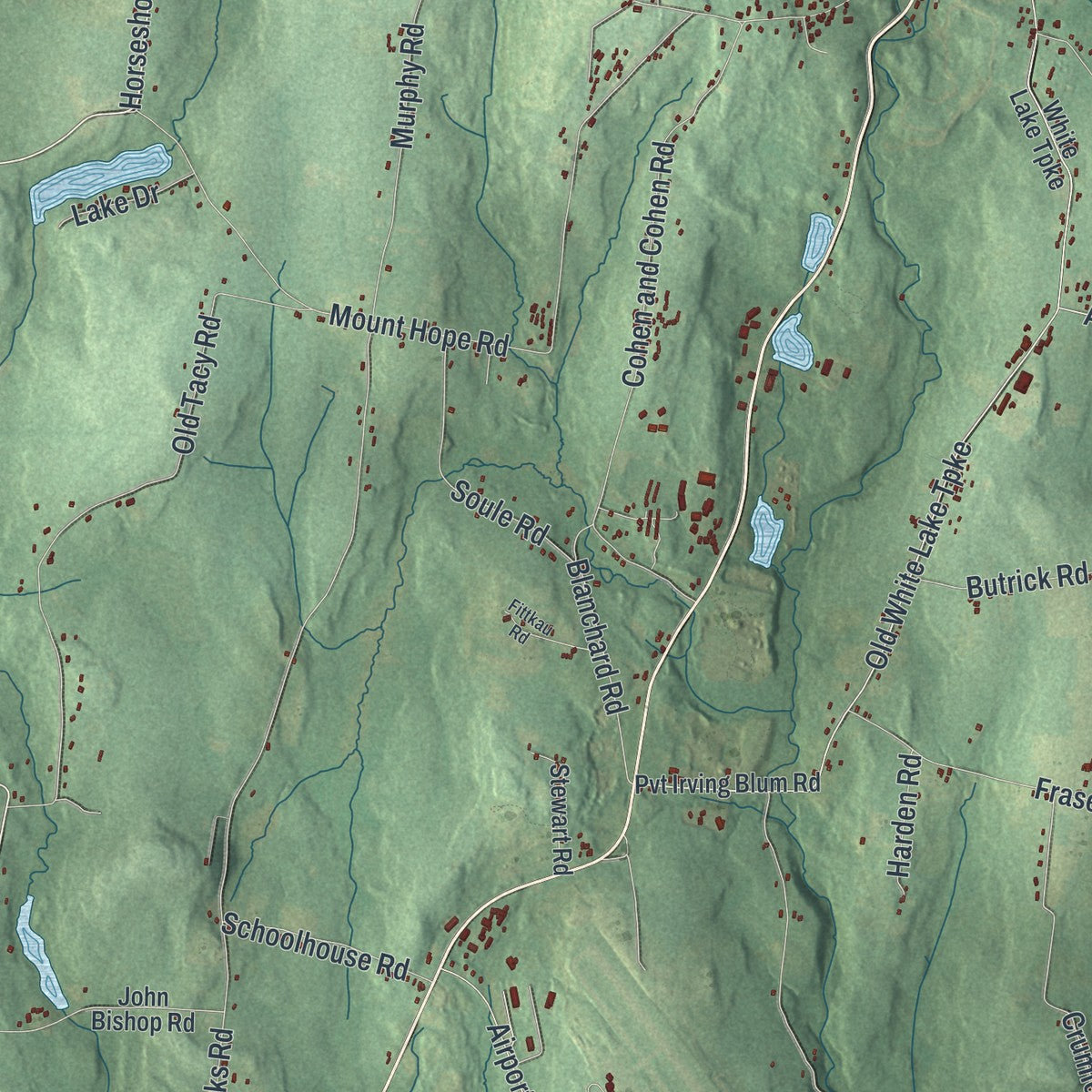 Close-up 2 of the Bethel, New York map artwork