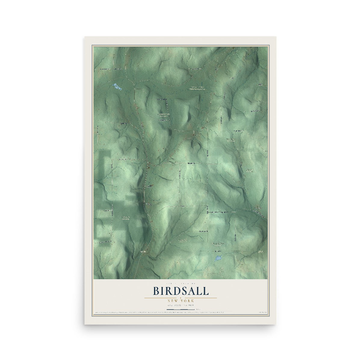 Map of Birdsall, New York, 12 x 18 inch unframed archival matte print