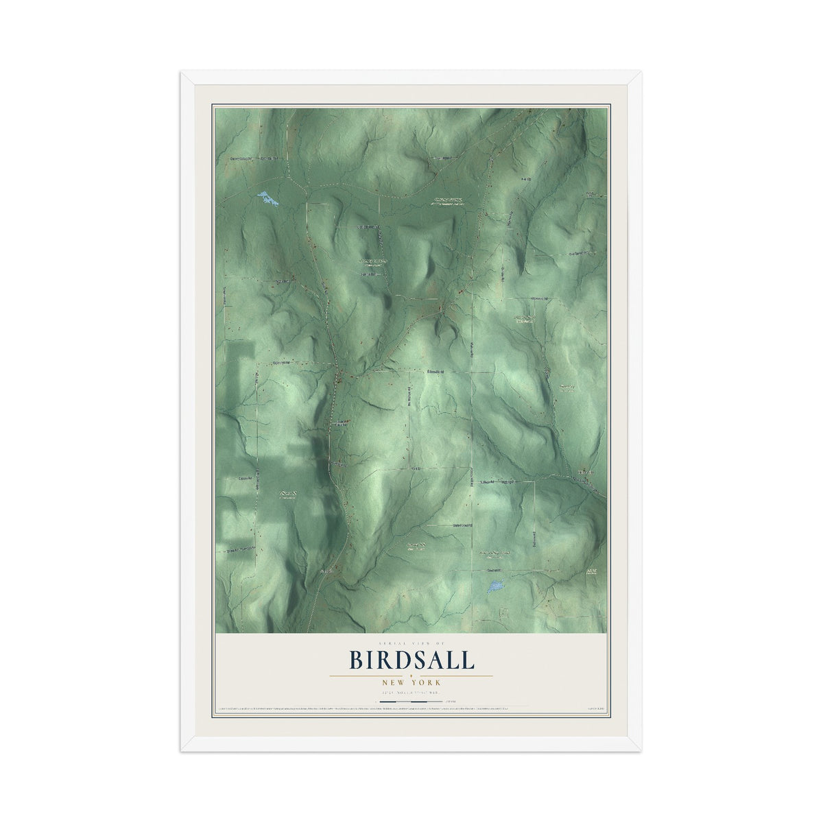 Birdsall, New York map print, 12" x 18" W/ White Ayous Wood Frame mockup