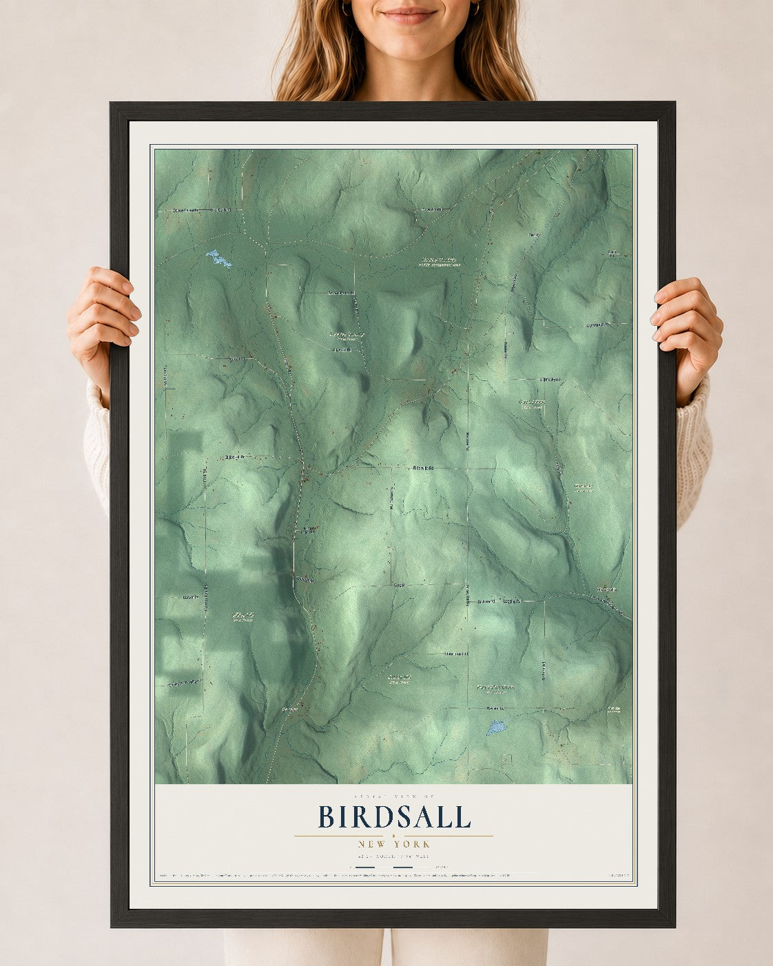 Birdsall, New York map print, 24" x 36" W/ Black Ayous Wood Frame mockup