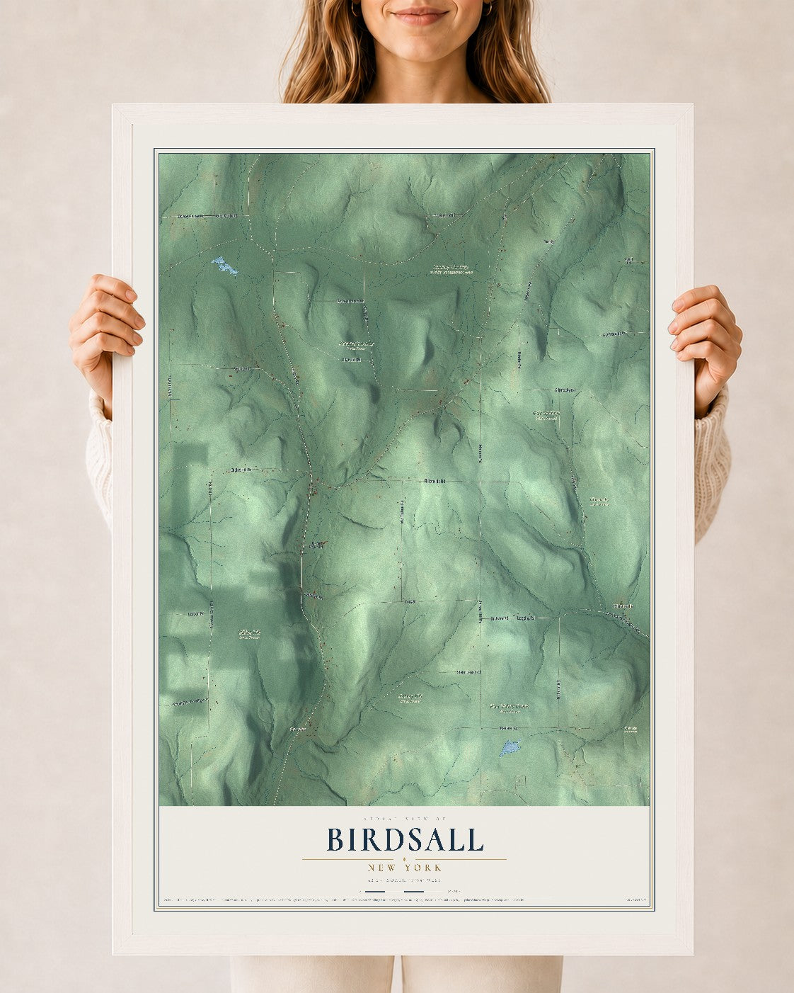 Birdsall, New York map print, 24" x 36" W/ White Ayous Wood Frame mockup