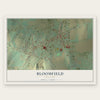 Bloomfield, New York map print, the full design