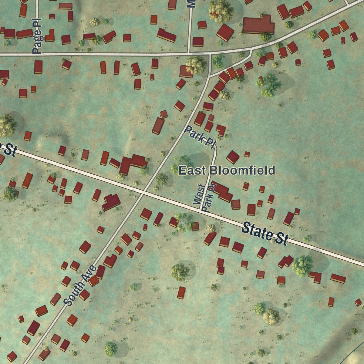 Close-up of the map of Bloomfield, New York print showing street and building detail