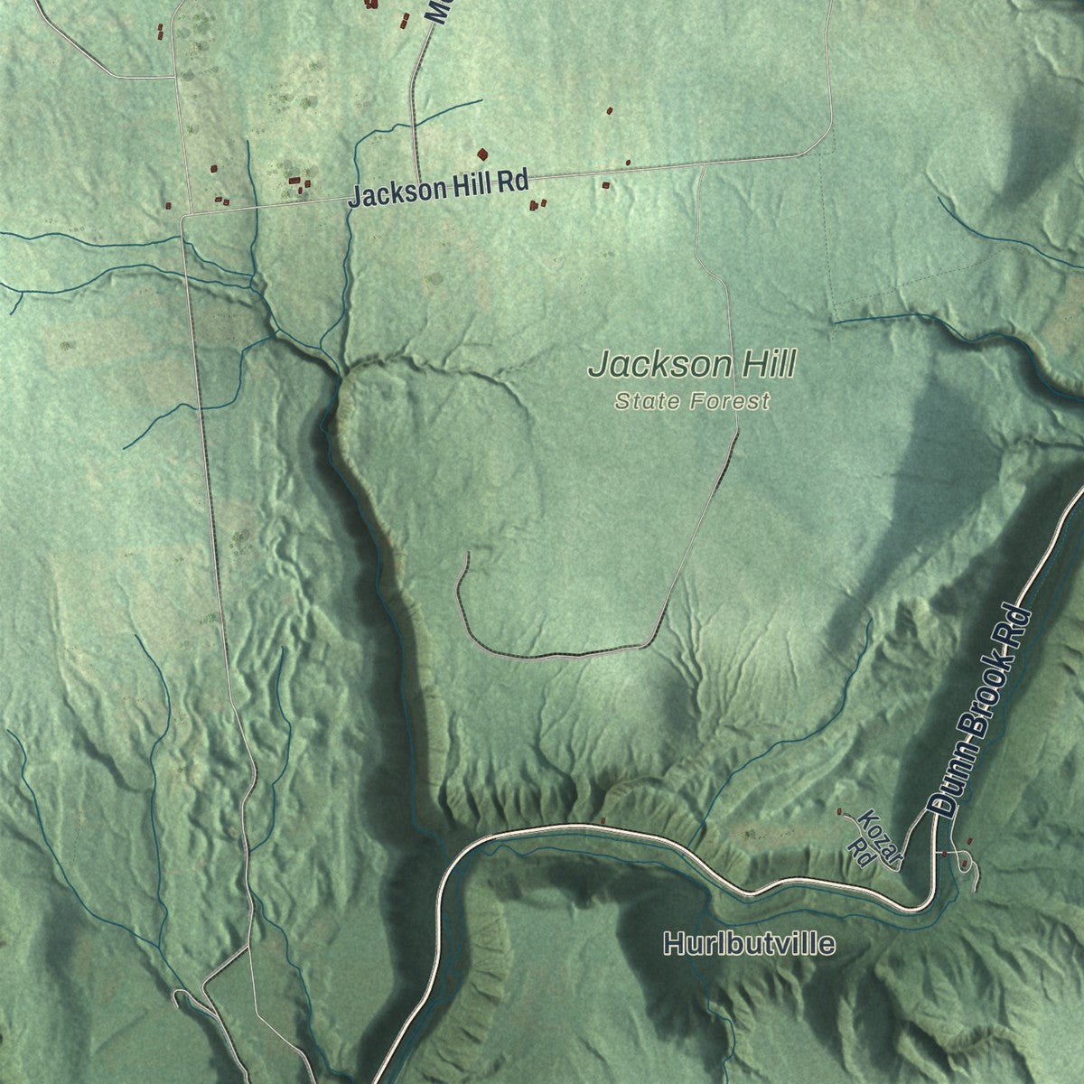 Close-up 2 of the Boonville, New York map artwork