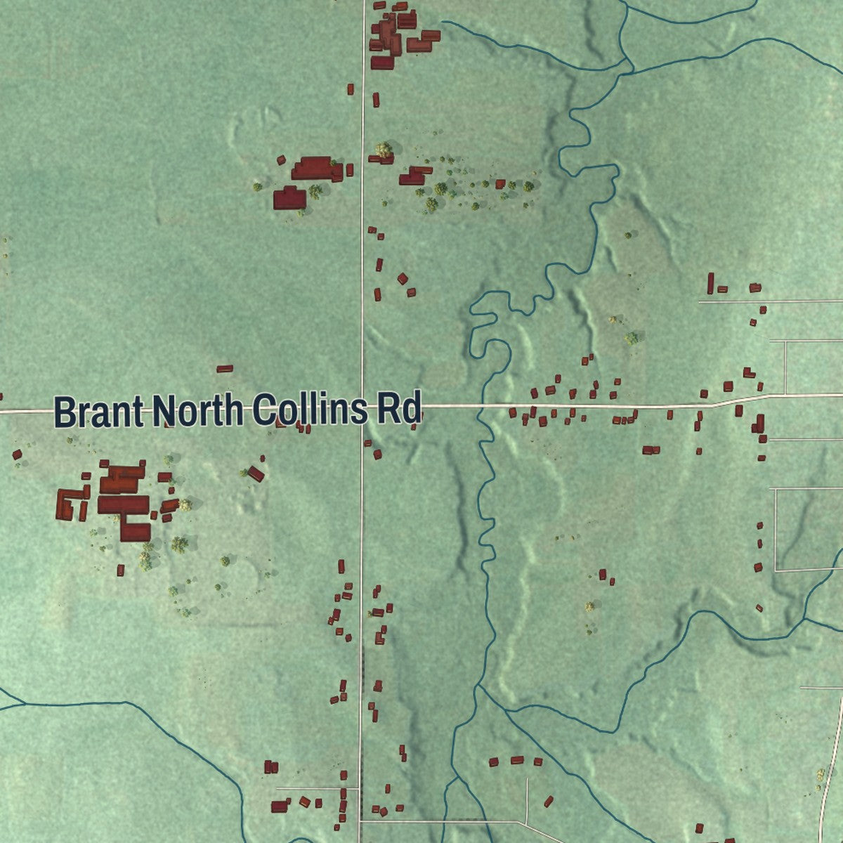 Close-up 2 of the Brant, New York map artwork