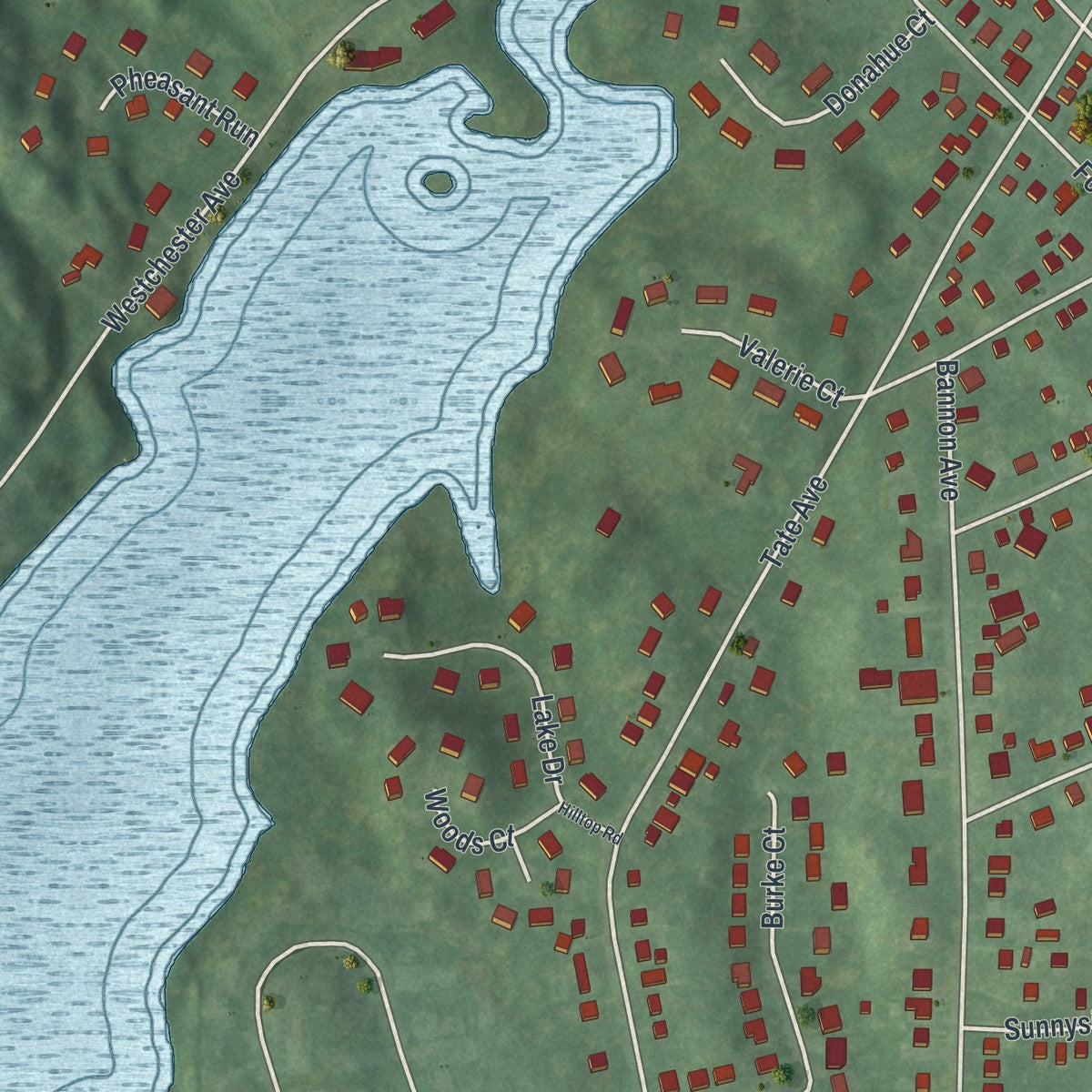 Close-up of the map of Buchanan, New York print showing street and building detail