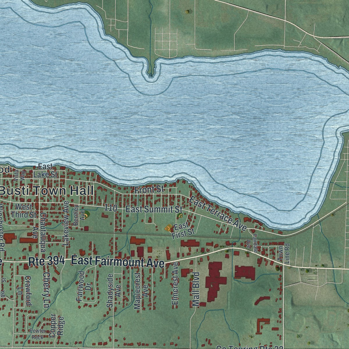 Close-up of the map of Busti, New York print showing street and building detail