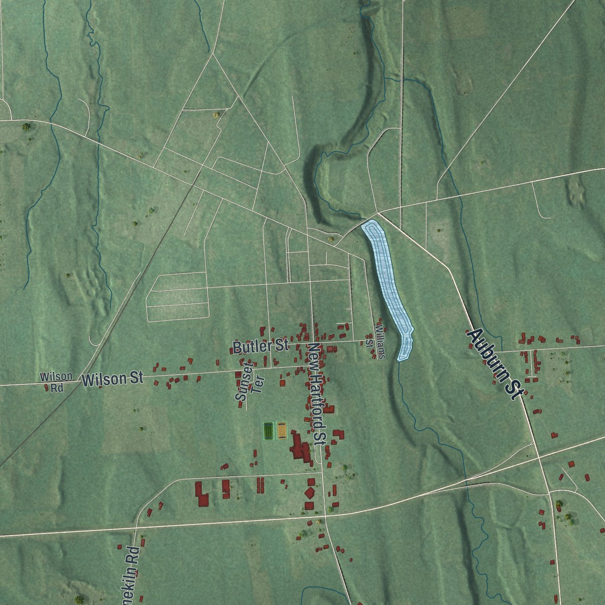 Close-up 1 of the Butler, New York map artwork