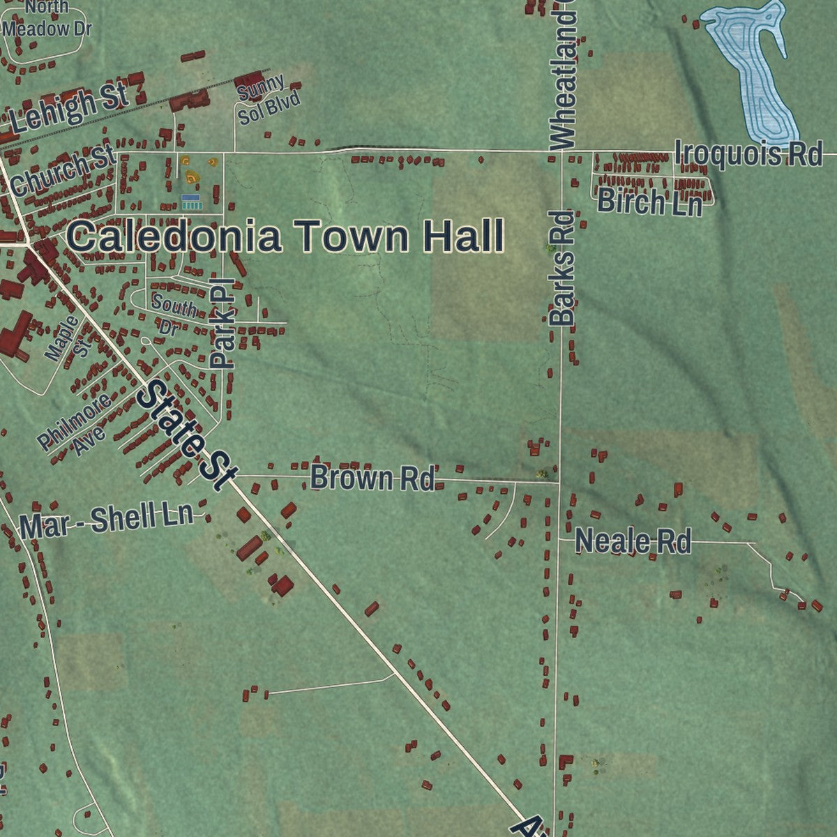 Close-up 1 of the Caledonia, New York map artwork
