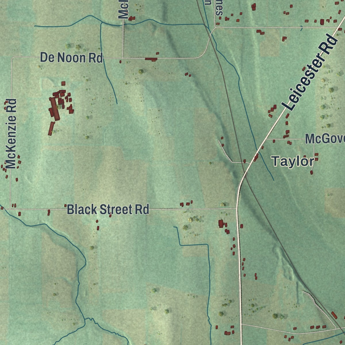 Close-up 2 of the Caledonia, New York map artwork