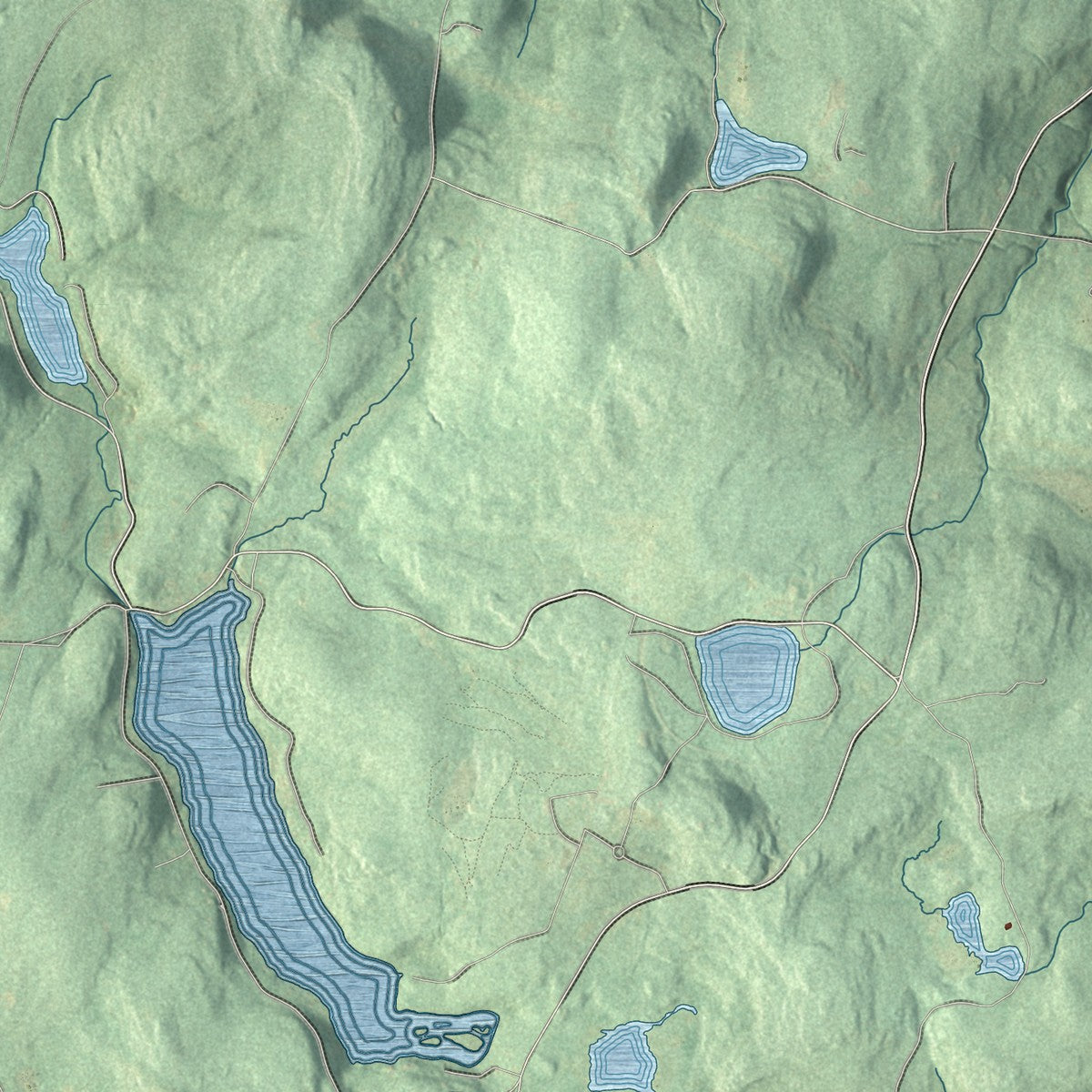 Close-up 2 of the Callicoon, New York map artwork