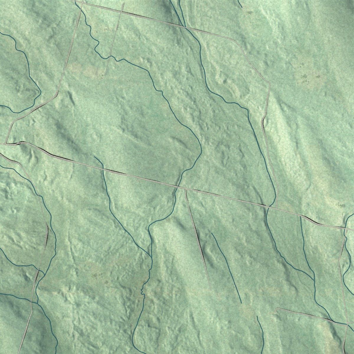 Close-up 1 of the Camden, New York map artwork
