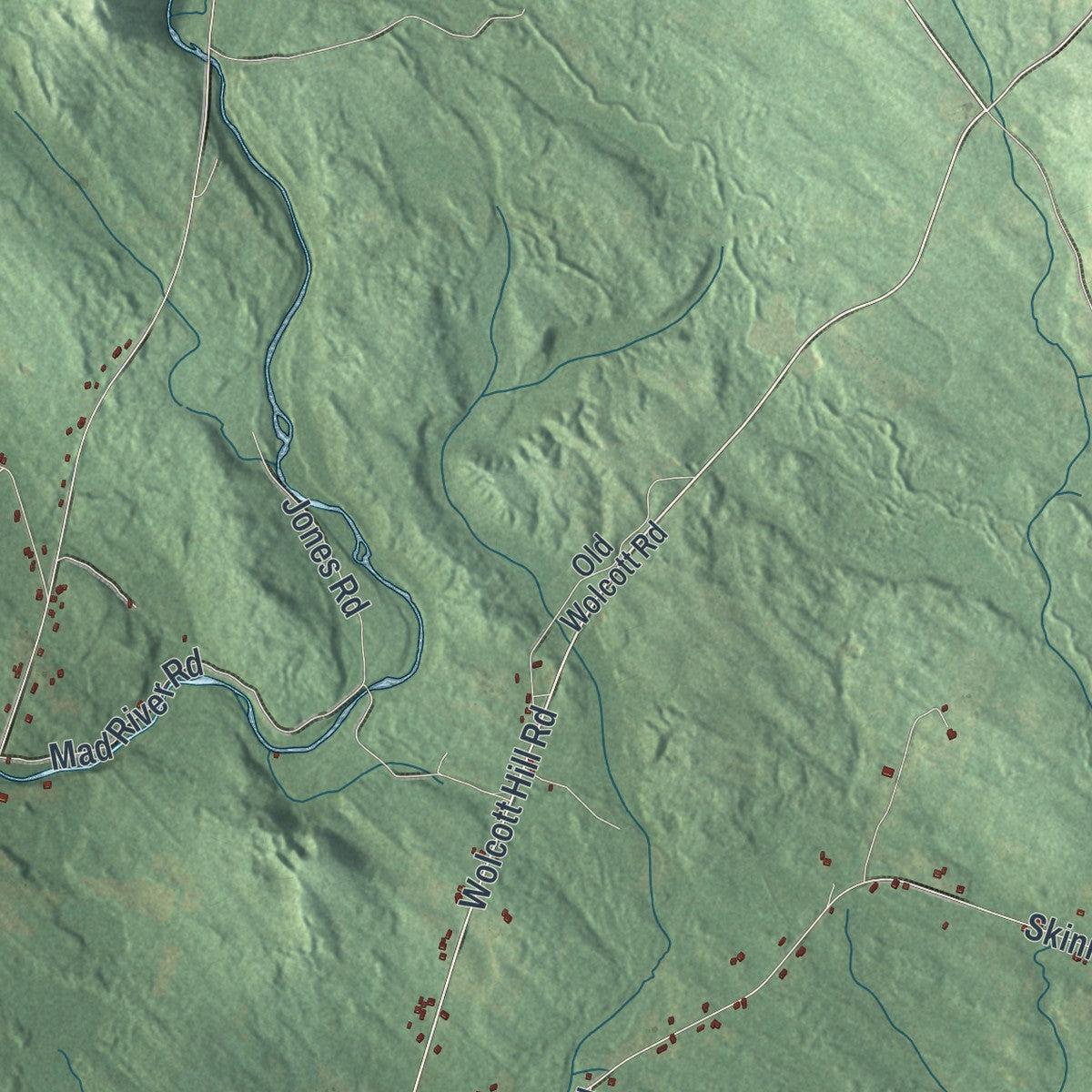 Close-up 2 of the Camden, New York map artwork